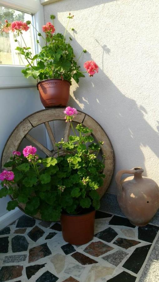 Apartments Blago Sutomore Zewnętrze zdjęcie