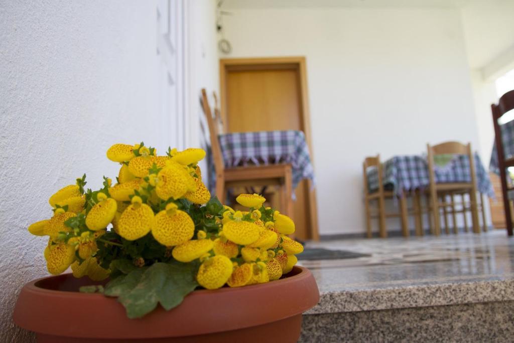 Apartments Blago Sutomore Zewnętrze zdjęcie
