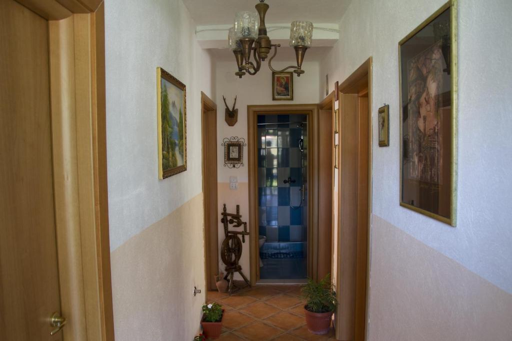 Apartments Blago Sutomore Zewnętrze zdjęcie